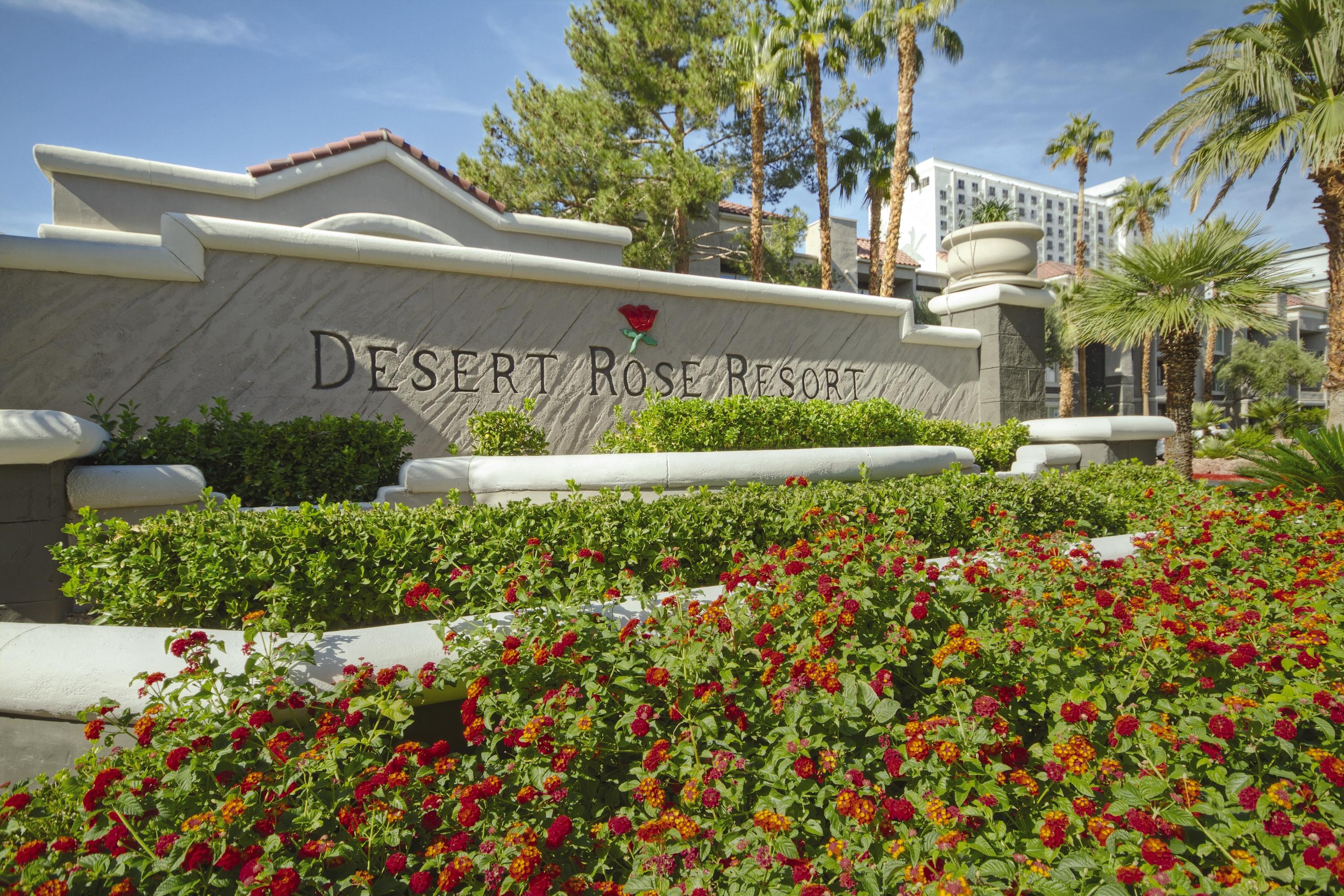 לאס וגאס Desert Rose Resort מראה חיצוני תמונה